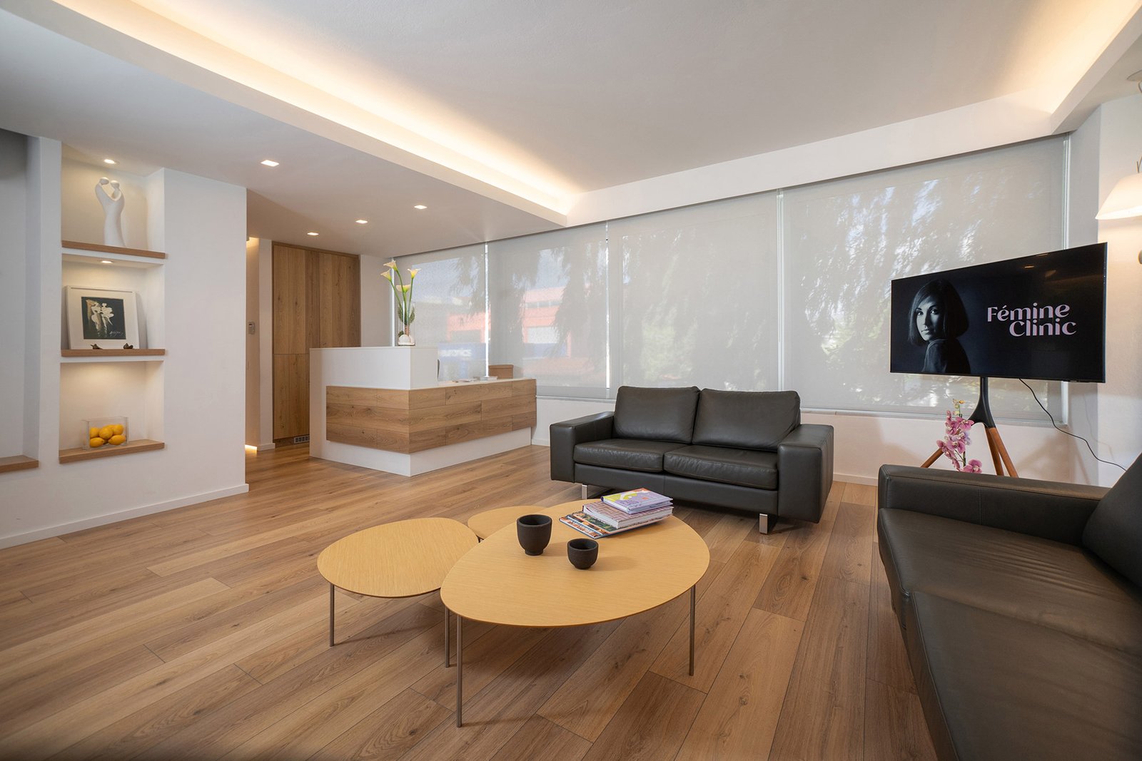 Femine Clinic - ΑΡΧΙΚΗ 9 Femine Clinic - FEMINE CLINIC 13